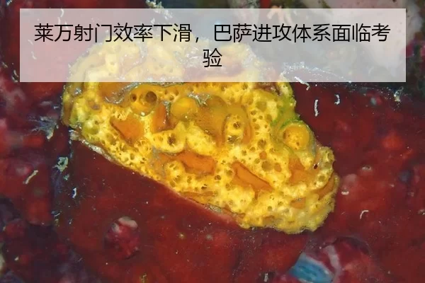 lai-wan-she-men-xiao-lv-xia-hua-ba-sa-jin-gong-ti-xi-mian-lin-kao-yan-2-492.jpg