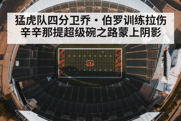 猛虎队四分卫乔·伯罗训练拉伤 辛辛那提超级碗之路蒙上阴影
