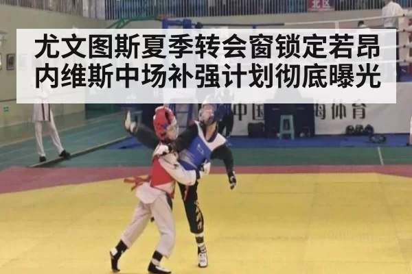 尤文图斯夏季转会窗锁定若昂内维斯中场补强计划彻底曝光