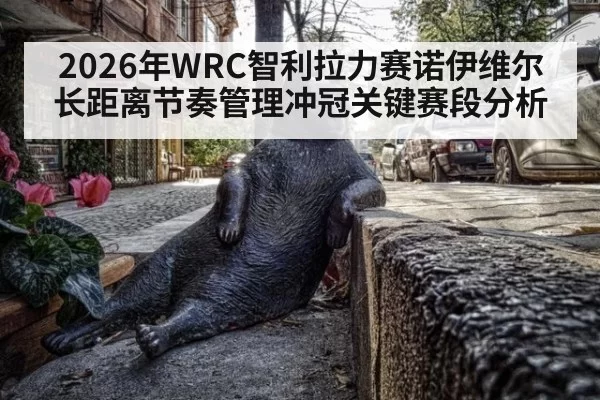 2026年WRC智利拉力赛诺伊维尔长距离节奏管理冲冠关键赛段分析
